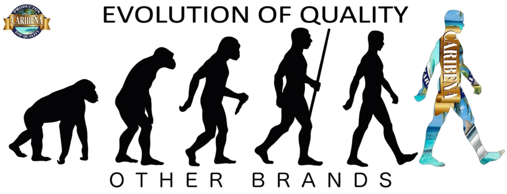 Evolution Of Quality Translated To English 1024x392