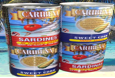 caribena graphic intro on home page60x30